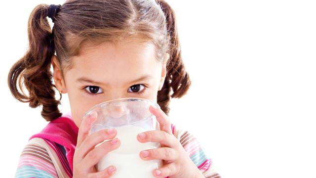 manfaat susu Dancow untuk anak